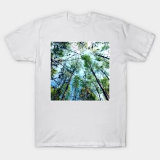 birch forest T-Shirt